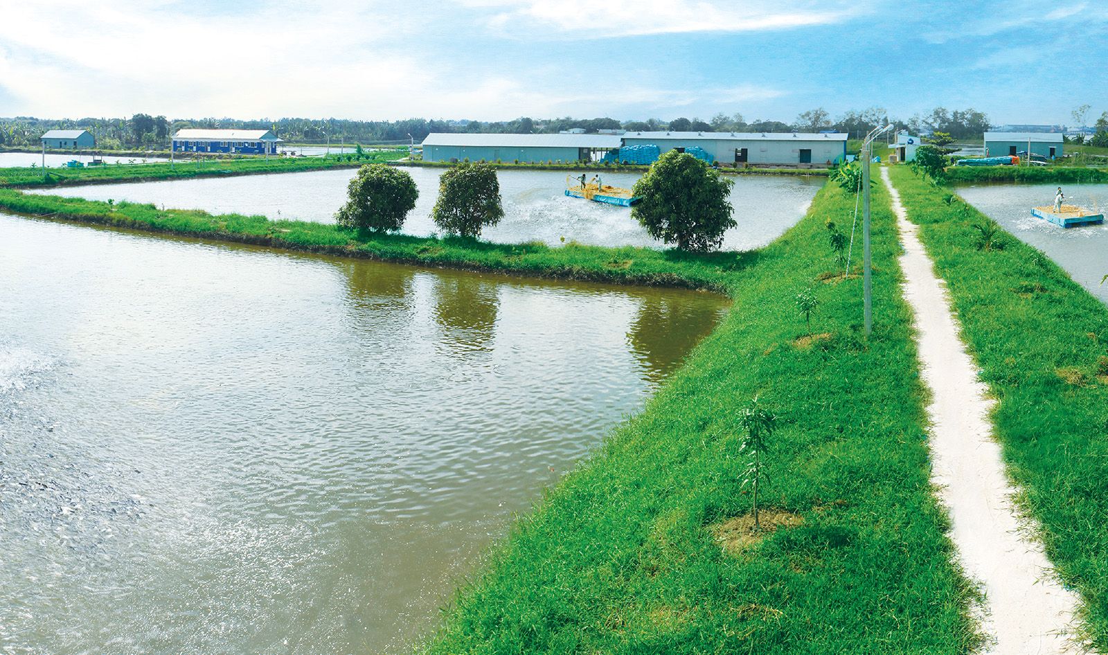 Lĩnh vực kinh doanh